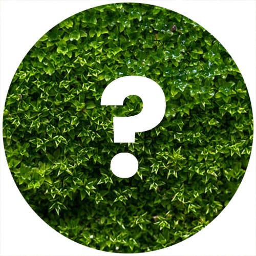 Word jij binnenkort onze nieuwe collega? Celine Scheper